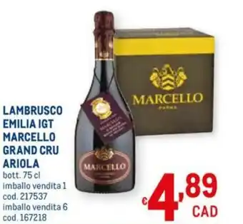Marcello Gran Cru Ariola Lambrusco Emilia IGT 75cl