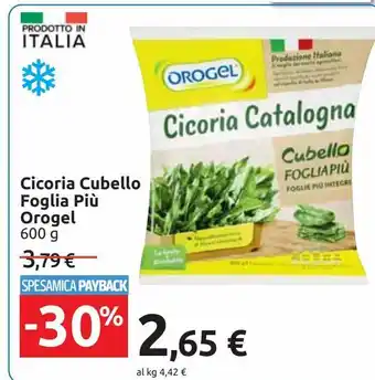 Carrefour Market Cicoria cubello foglia più orogel offerta