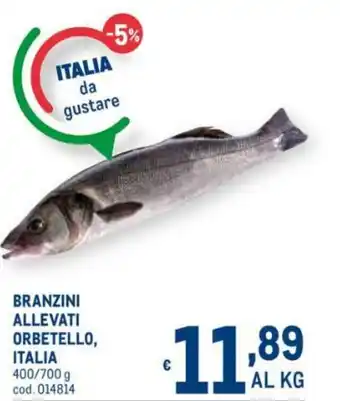 Branzini Allevati Orbetello, Italia 400/700g