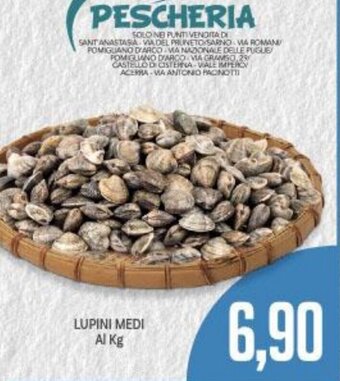 Supermercati Piccolo Lupini Medi Al Kg offerta