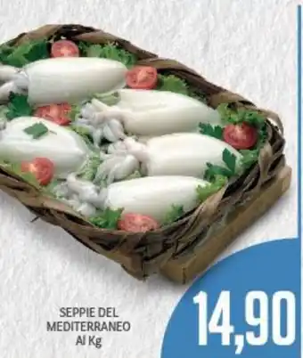 Supermercati Piccolo Seppie Del Mediterraneo Al kg offerta