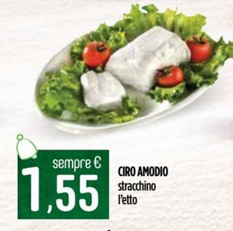 Ciro Amodio Ciro Amodio stracchino offerta