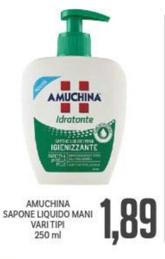 Supermercati Piccolo Amuchina Sapone Liquido Mani Vari Tipi 250 ml offerta