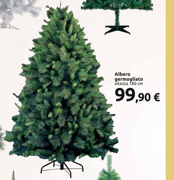 Carrefour Albero germogliato altezza 180 cm offerta