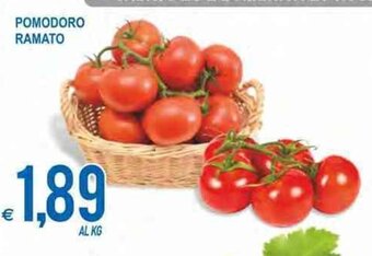 MD Discount Pomodoro Ramato offerta