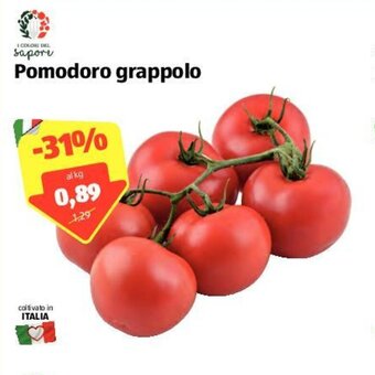 ALDI I Colori del Sapore Pomodoro grappolo offerta