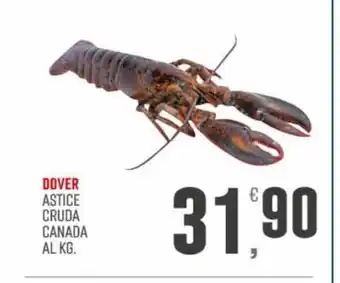 Marketpiù Dover Astice Cruda Canada Al Kg offerta
