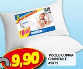 Risparmio Casa Pisolo Coppia Guanciale 45x75 offerta