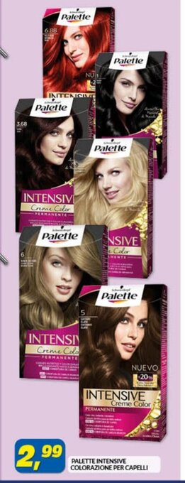 Risparmio Casa Palette Intensive Colorazione per Capelli offerta