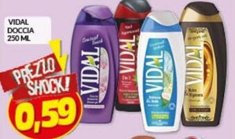 Risparmio Casa Vidal Doccia 250 ml offerta