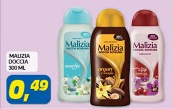 Risparmio Casa Malizia Doccia 300 ml offerta