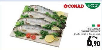 Conad Superstore Trota offerta