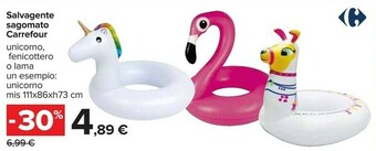 Carrefour Accessori piscina offerta