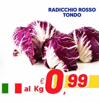Radicchio Rosso Tondo