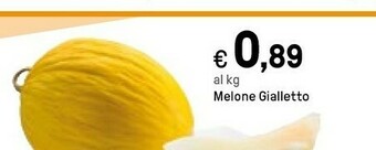 Iper La Grande Melone Gialletto offerta