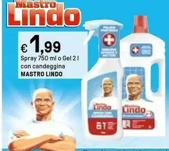 Iper La Grande Mastro lindo Spray 750 Ml O Gel 2 L Con Candeggina offerta