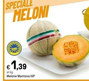 Iper La Grande Melone Mantova Igp offerta