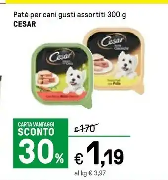 Cesar Pate Per Cani Con Pollo