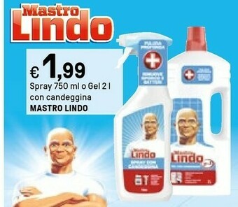 Iper La Grande Mastro lindo Spray 750 Ml O Gel 2 L Con Candeggina offerta