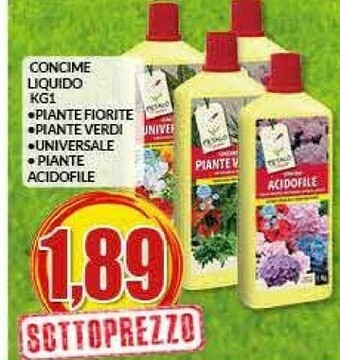 Risparmio Casa Piante offerta