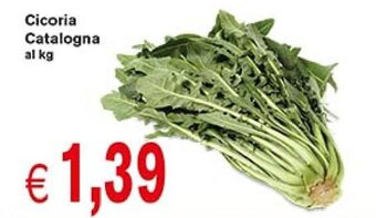 Supermercato Coal Cicoria Catalogna offerta
