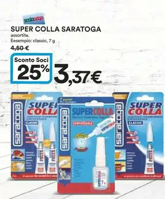 Saratoga Colla