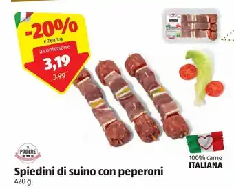 ALDI Spiedini di suino con peperoni offerta