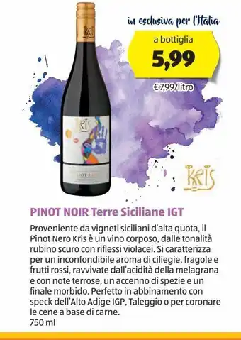 ALDI Pinot noir terre siciliane igt offerta