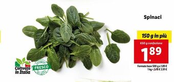 Lidl Spinaci offerta