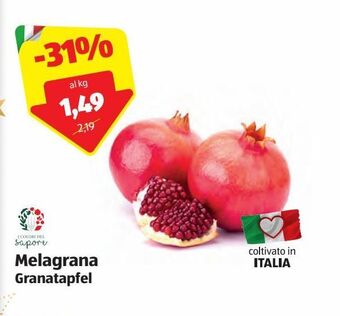 ALDI Melagrana offerta