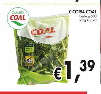 Coal City Cicoria coal offerta