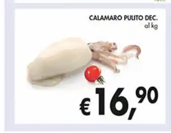 Calamari pulito dec.