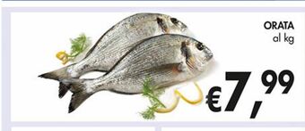 Supermercato Coal Orata offerta