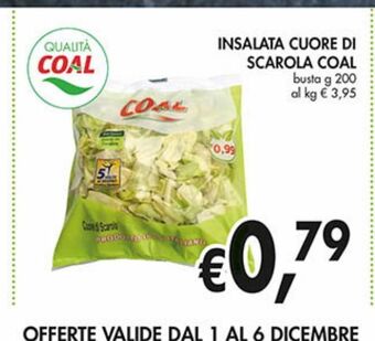 Coal City Insalata cuore di scarola coal offerta