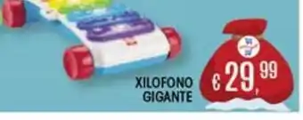 Il Gigante Xilofono gigante offerta