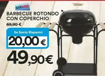 Coop Barbecue a carbonella offerta