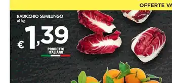Bennet Radicchio semilungo offerta