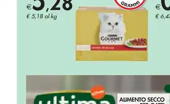 Bennet Alimento umido per gatti miglior gatto unico offerta