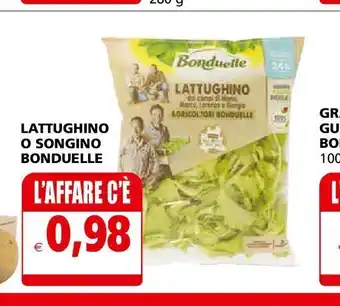 Il Gigante Lattughino o sogino bonduelle offerta