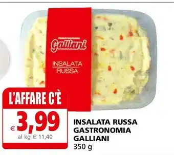 Il Gigante Insalata russa gastronomia galliani 350 g offerta