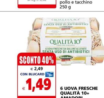 Il Gigante 6 uova fresche qualita 10 + amadori offerta