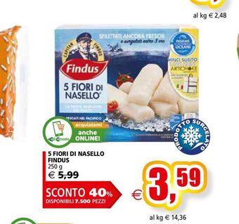Il Gigante 5 fiori di nasello findus 250 g offerta