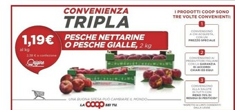 Coop Melone offerta