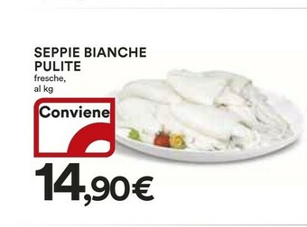 Coop Seppie offerta