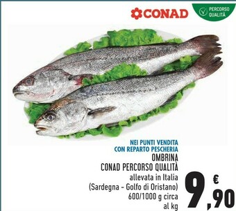 Conad Ombrina offerta