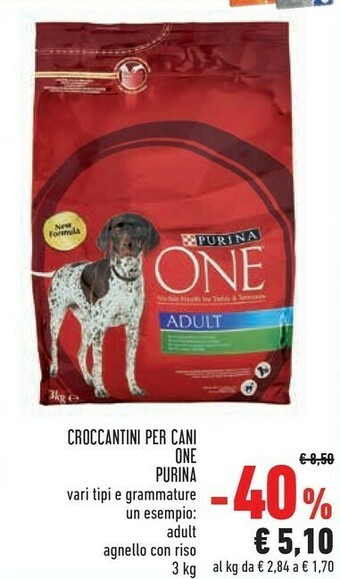 Conad Purina Croccantini Per Cani One offerta