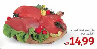 Fette di bovino adulto