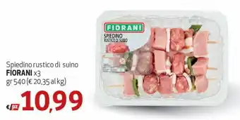 Spak Supermercati Fiorani Spiedini rustico di suino x3 540 gr offerta