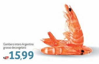 Gambero intero Argentino grosso decongelato