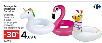 Carrefour Accessori piscina offerta